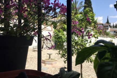 Casa Albaicin 2